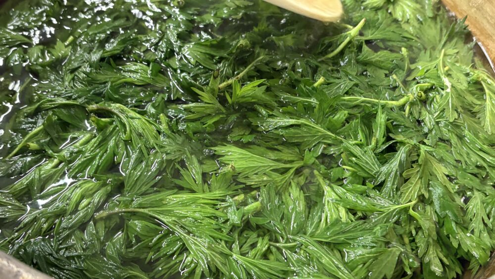 よもぎを鍋でじっくりと煮る。鮮やかな緑が広がる